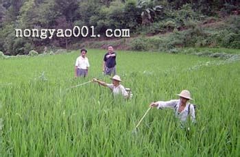 施用细菌农药要四看