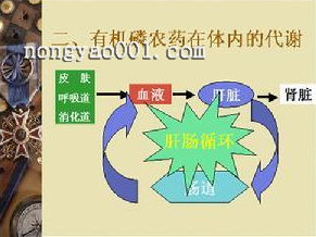 急性有机磷农药中毒