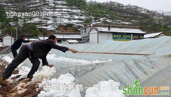 如何才能防止作物遭受冻害呢