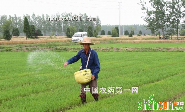 高效自制土化肥的制作方法