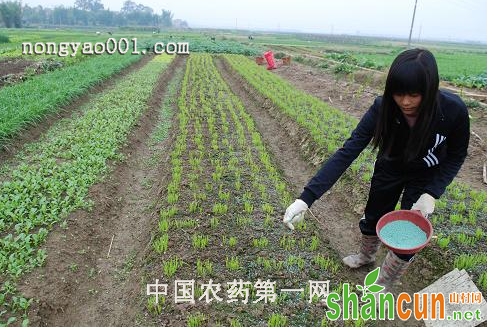 蔬菜施肥时的一些注意事项