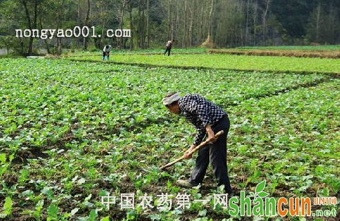 作物施肥除草