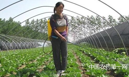 蔬菜叶面肥的使用技术及常用的追肥方法