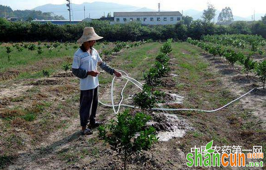 果树土肥水管理四大误区