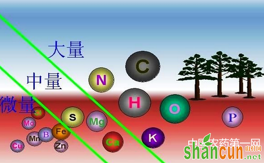 肥料中的营养元素，如何才容易被作物吸收