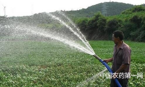 如何正确把握花生水分管理原则