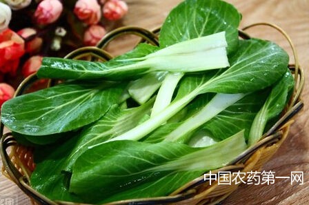 预防油菜顶烧方法