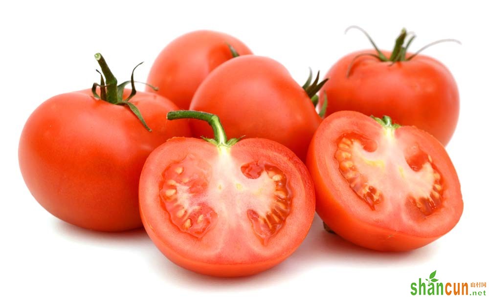 如何防治番茄灰斑病