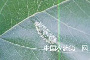 苹果金纹细蛾的防治方法