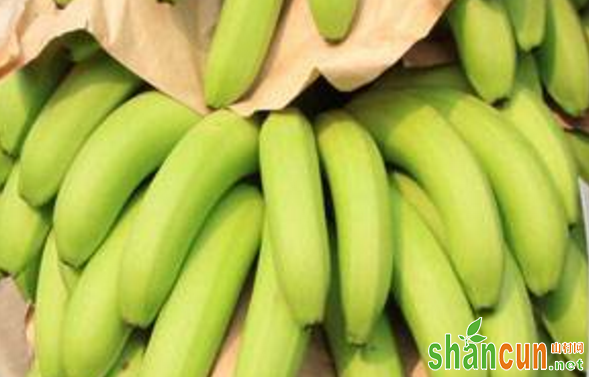 香蕉催熟不良的原因有哪些？