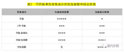 小麦田阔叶草有哪些？如何有效防除这些杂草？