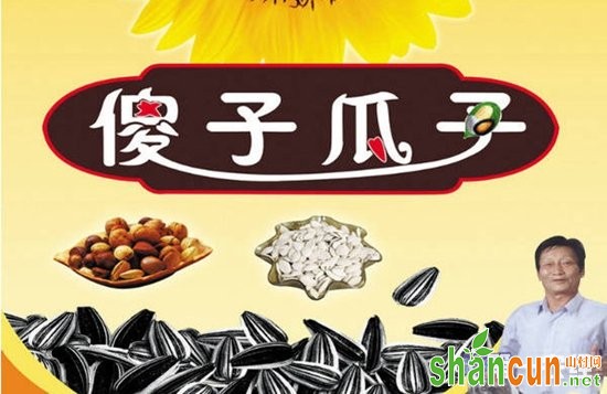 傻子瓜子 安徽芜湖特产