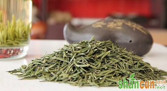 江苏常州特产茶：金坛雀舌茶