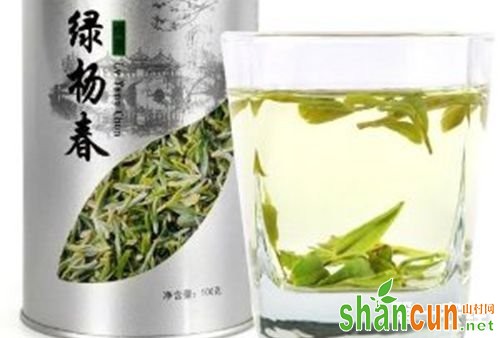 江苏扬州特产茶：绿杨春茶