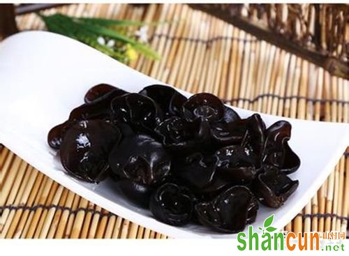 吉林蛟河特产“食用菌”：黄松甸黑木耳