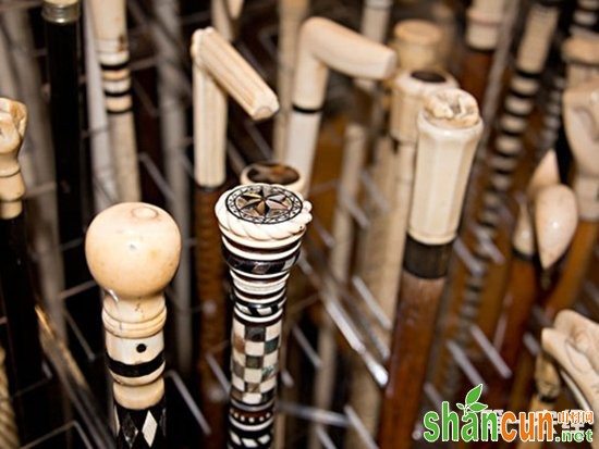 重庆市垫江特产：棕竹手杖（图片）