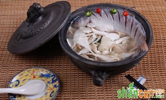 四川雅安传统名菜：砂锅雅鱼