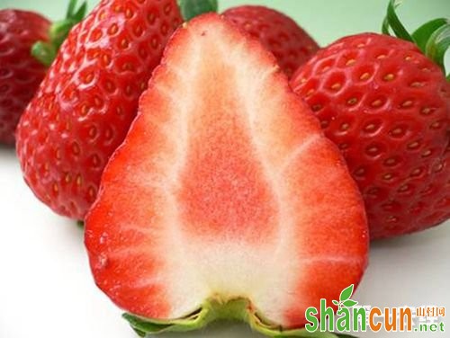 北京特产--昌平草莓