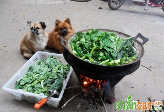 炸干菜  北京门头沟特产美食小吃