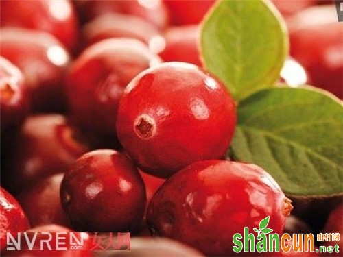 吃蔓越莓可以保健吗_蔓越莓的营养价值是什么 女性吃它可以养颜美容吗