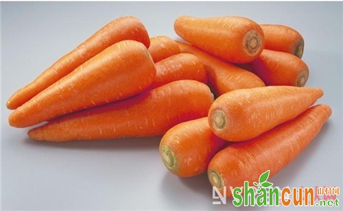 胡萝卜是美容菜吗_藏太深 物美价廉的防癌高手竟是它