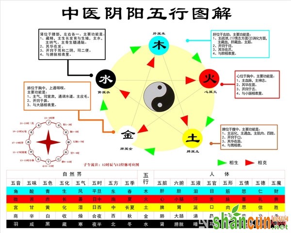 中医眼中蜂蜜功效_蜂蜜食谱疏通血管养肝脏 堪称春季最佳食方