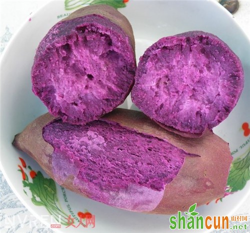吃紫薯能减肥吗_紫薯的四大功效你知道吗 了解它才能吃好