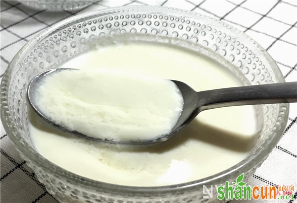 姜撞奶的做法是什么 食用姜撞奶有哪些好处