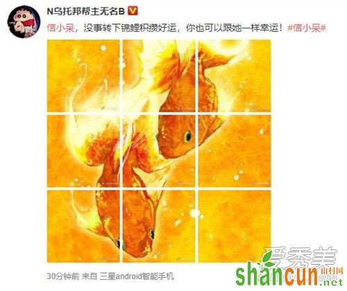 信小呆是谁 信小呆为什么突然火了