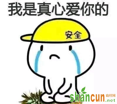 民政局低头系鞋带是什么梗 不结婚是什么内涵意思介绍