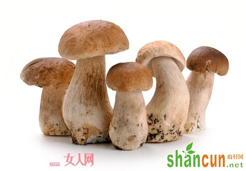 蘑菇能美白吗_美白