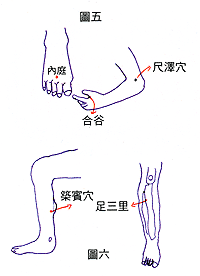 </p><p>有许多人身上或脸上长满了痘子，却无法从敷脸或使用保养品而产生效果，但假如频繁让身体的穴道接受刺激，身上与脸上的痘痘就会明显改善，甚至使皮肤光滑柔白，这样的方式才是真正由内而外散发出美丽。（美容穴；合谷、尺泽、足三里、筑宾、内庭）</p>五、男人有气就会“神气”；女人有气则美丽<p>宗教中人重灵气，不外也是懂得要“补气”。现今坊间养生坊到处是，就像是人的加油站，为“精神”上与“生理”上做了气血增补。如此工作就能如鱼得水，由于“事业靠精神”，精神状况好生理反应就容易产生智慧，有智慧就会有心胸，那麽成功也不会离太远，由于“成功靠心胸”。</p><p>注重生活品质不光只是追求华丽的表象，而是经常注意自己生理与心理的状况。释迦佛祖曾道：听法、求道、亲医药三者俱备得享天命，缺一即夭折。至於“亲医药”的解释是说：注意养生之道和维护健康。…养生其实就是这样的。</p><br></div>



</div>
                            <div class=