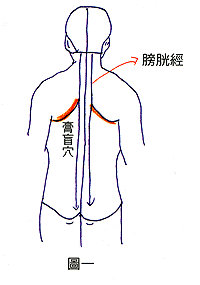 </p><p><strong>处理方式</strong>：膀胱经从上往下按压，尤其“膏盲”两穴可做加强，由于“膏盲”两穴治病强，膀胱经是一条很长的经络，而背部是身体气之所聚，因此将不好的所聚之气打通之后，再将其它穴道打通就更容易了，就算是八、九十岁的老人家，按了也很有效果，按压方法由肩膀滑至膏盲。</p>二、针对便秘、皮肤病变等火气问题<h4 style=