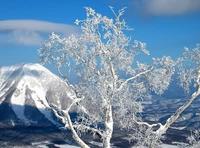 小雪时节话养生