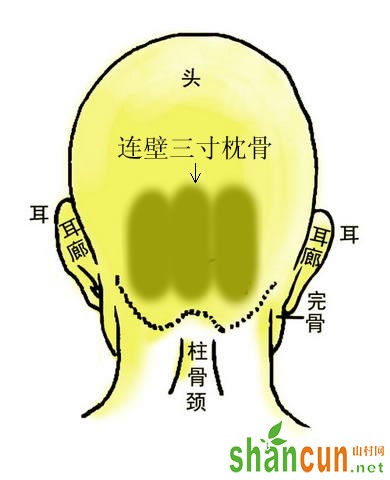 </p><p>连璧三寸枕骨在后脑海之间，上过耳廓，下齐耳珠，宽过耳后之两侧发际止，以两寸余，或三寸长，皆名三寸枕骨也。余以事实经验，多数应证，凡脑后之骨，有三根高突者，直上而发富，有贵裔而创新乡之田宅，横生而达贵不受祖业，而宏恢自创之门第，故三寸骨。而加连璧二字，即别直与横之义。此骨主大名而寿，贵名倍於权也。亦有名士立言者，亦有遗蹟流芳者，或出於平民，亦傲王侯。其人天姿灵敏，学识赅博，长於好古，而考历史兴亡，达於通今，而考潮流变化，下笔文粲风骚，接谈畅和众意，外和而内刚，守礼而持义，有远见之长，无妄贪之鄙，故有绝顶聪明而为用，劳碌周折以成功，半生多处嫌疑地位，有才华浮露，而招嫉也，半为有桓清白自守，有离奇思想，而偏见也，晚年主有神经减智之例，亦为主寿也。</p><br></div>



</div>
                            <div class=