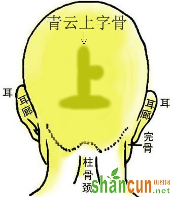 青云上字骨</p><p>在后脑海正部，形如上字，有缺左缺右之分，缺左主刑母刑弟兄，又刑女也缺，右主刑父刑妻妾，又刑子也，此为技艺专家，心灵手巧，而有物品用具之发明，古时侯人为异乡风尘，刻下为欧美游历，专门人才，能制造也，天性聪明，负气率性，智识颇高，记亿尤强，有恒心之任劳，立远志之勇进，妻宫外配而复离异，子星迟成而复弱少，半为不修身之戕贼，半为有偏见之挫折，成功虽多，结怨不少，因爱而生害，落情魔之圈套，临险而发达，受尚武之鼓励，胆大心细，志坚术奥也。</p><br></div>



</div>
                            <div class=