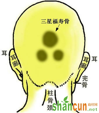 三星福寿骨<img width=