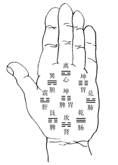 手相八卦宫位</p>手相八卦宫位<ol>    乾   卦  天，居戌亥位，属金。 管父与宗子之盛衰，亦主人之权位希望与理想。    坎    卦  水，居子丑位，属水。 管祖业之根基。    艮    卦  山，居丑寅位，属土。 管田宅之有无。    震    卦  雷，居卯位，属木。管兄弟之和顺，应人之胆力。    巽    卦  风，居辰巳位，属木。 主财帛，管财利之兴衰。    离    卦  火，居午位，属火。主官禄事业，管官位之高低。    坤    卦  地，居未申位，属土。 主福德，管母与儿女之得失。    兑    卦  泽，居酉位，属金。主为妻妾位。    明    堂，掌之中心，属四季土管。管终身荣枯得失。</ol>手相十二宫<ol>    命    宫：拇指与食指之间(食指峰)    兄 弟 宫：艮卦之处(生命线起源处)    夫 妻 宫：坤卦部位连到小指下方之婚姻线    子 女 宫：坤卦部位延至子女线部位    财 帛 宫：食指与中指之间(中指峰)    疾 厄 宫：兑卦以下    迁 移 宫：乾位与手腕之处    奴 仆 宫：兑卦之上方    官 禄 宫：中指下方    田 宅 宫：震卦之处(上拇指峰)    福 德 宫：子女宫与夫妻宫之间(兼看动脉祖基纹与小指)    父 母 宫：乾卦部位</ol>手指<ol>    大姆指：主父母。小童时代看大姆指。    食    指：主兄弟姊妹。青年运看食指及巽宫。    中    指：主本身。壮年运看中指及离宫。    无名指：主夫妻。中年运看无名指及坤宫。    小   指：主子女。老年运看小指及坤宫。</ol>主要掌纹<ol>    生命线(地纹)：由姆指及食指之中心开始成一条弧线直达手腕线艮宫四周。主出生、健康、疾病、个性、生命力，亦暗示父母之对待六亲关系。    感情线(天纹)：四指下方第一条粗线纹。 主人之情感、交友、六亲、人与物之相对状态，对父亲及儿子有关系，亦显夫妻关系。    理智线(人纹)：在天纹与地纹之间。  主人之智慧、理性、思想、行为、性情。    玉柱纹(命运线、事业线)：直穿掌心上达离宫。主事业与人生发展。    成功辅助线：一定在玉柱事业线之两旁，而且一定要直线上行才算。主人成败之辅助。    天部财星纹：在天纹以上四个手指以下的部位，线条一定要横的，显其人之理财守财及财运状况。    地部贵人纹：在地纹生命线旁，其行径应与地纹生命线同一趋势者才算。主人生贵人之多少与强弱。    天部六秀纹：在天纹以上四个手指以下的部位，线条一定要直的。主贵气且有增加财富名利之作用，亦能趋吉避凶。    地部驿马纹(旅行线)：居乾宫之下与手腕线之间的地区，一律须由乾宫之位置朝地纹生命线运行。主动性，出外之吉凶。    异路线(才华线)：位置在天纹与玉柱线交接线以下至驿马线， 旁边则直到掌边。主人之才华、特殊成就、灵感与创造发明。    婚姻子女线：小指下方即坤位靠尾指之边线。人之婚姻与子女状况。    天部月形纹(月晕纹)：在六秀纹、财星纹同一地带，且要两边同样上鈎者才是。又叫影响线，大都有破坏处。</ol><br></div>



</div>
                            <div class=