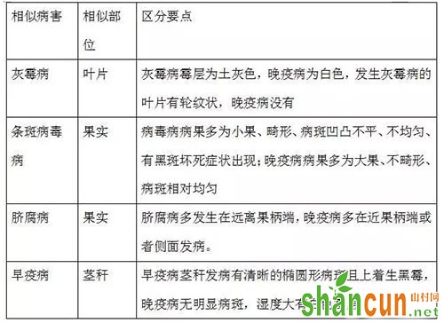 番茄晚疫病及那些相似的病害