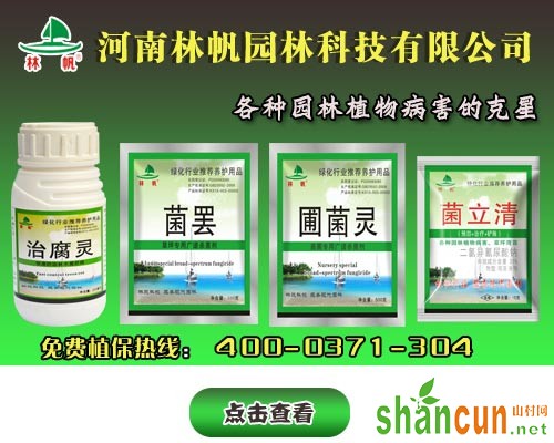 草坪腐霉枯萎病的症状、病原菌和防治措施