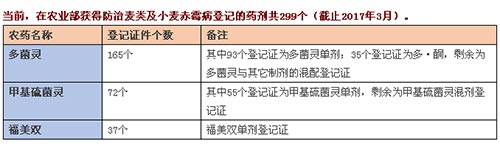 小麦赤霉病大面积爆发，该如何做好预防治疗措施呢？