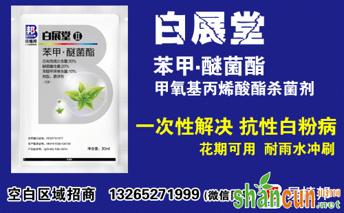 葡萄立枯病的症状、发病特点及防治方法总结