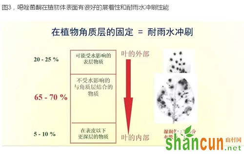 图3，噁唑菌酮在植物体表面有很好的展着性和耐雨水冲刷性能