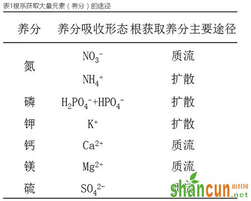 表1根系获取大量元素（养分）的途径