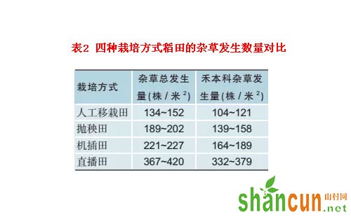 表2 四种栽培方式稻田的杂草发生数量对比