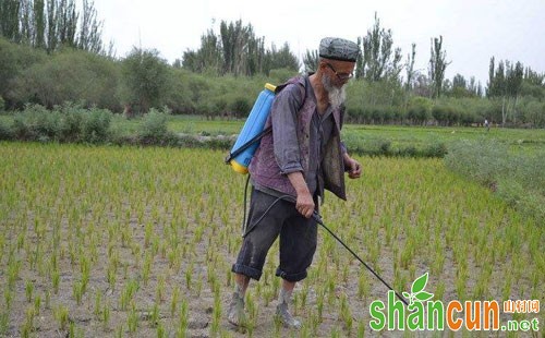 稻田杂草综合防除配套技术，确保水稻安全生长