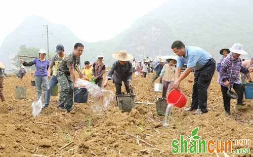 甘蔗什么时候浇水，甘蔗浇水方法