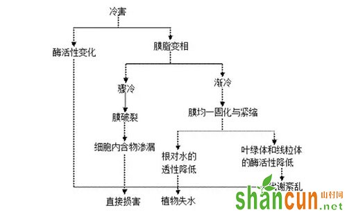 提高作物抗冻性产品有哪些，作用机理是什么？