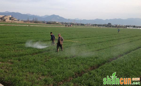 小麦田除草剂有哪些，怎样选择小麦田除草剂