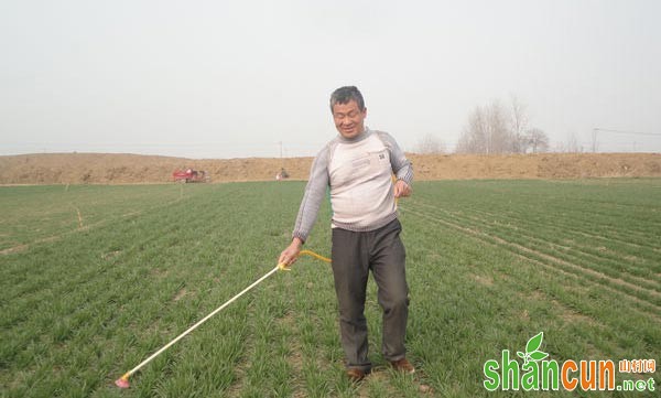 小麦田除草剂有哪些，怎样选择小麦田除草剂